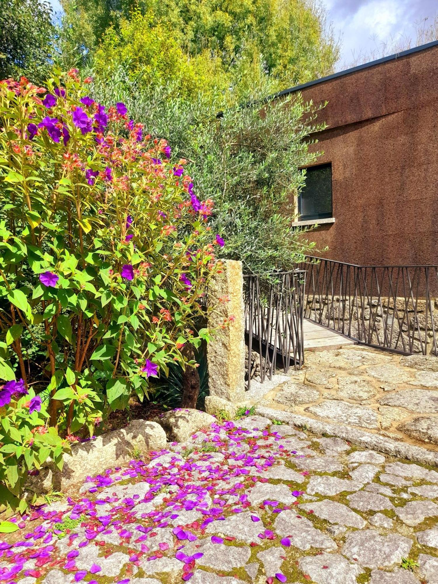 Moinhos Carvalhas Villa Arcos de Valdevez Kültér fotó